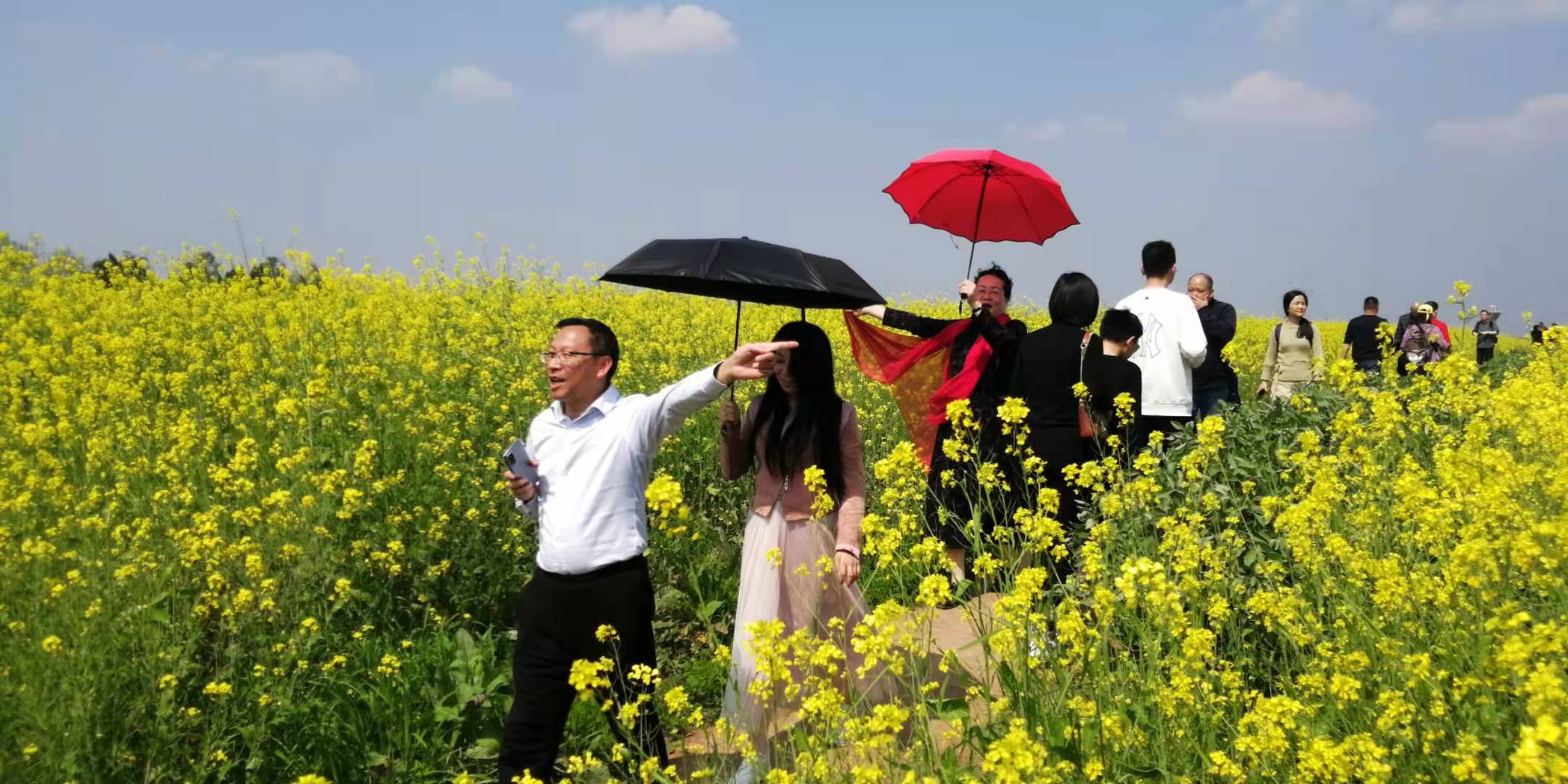 1615793162415097699.jpg 图片1.jpg